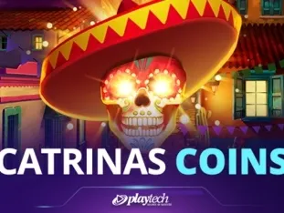Catrina's Coins screenshot